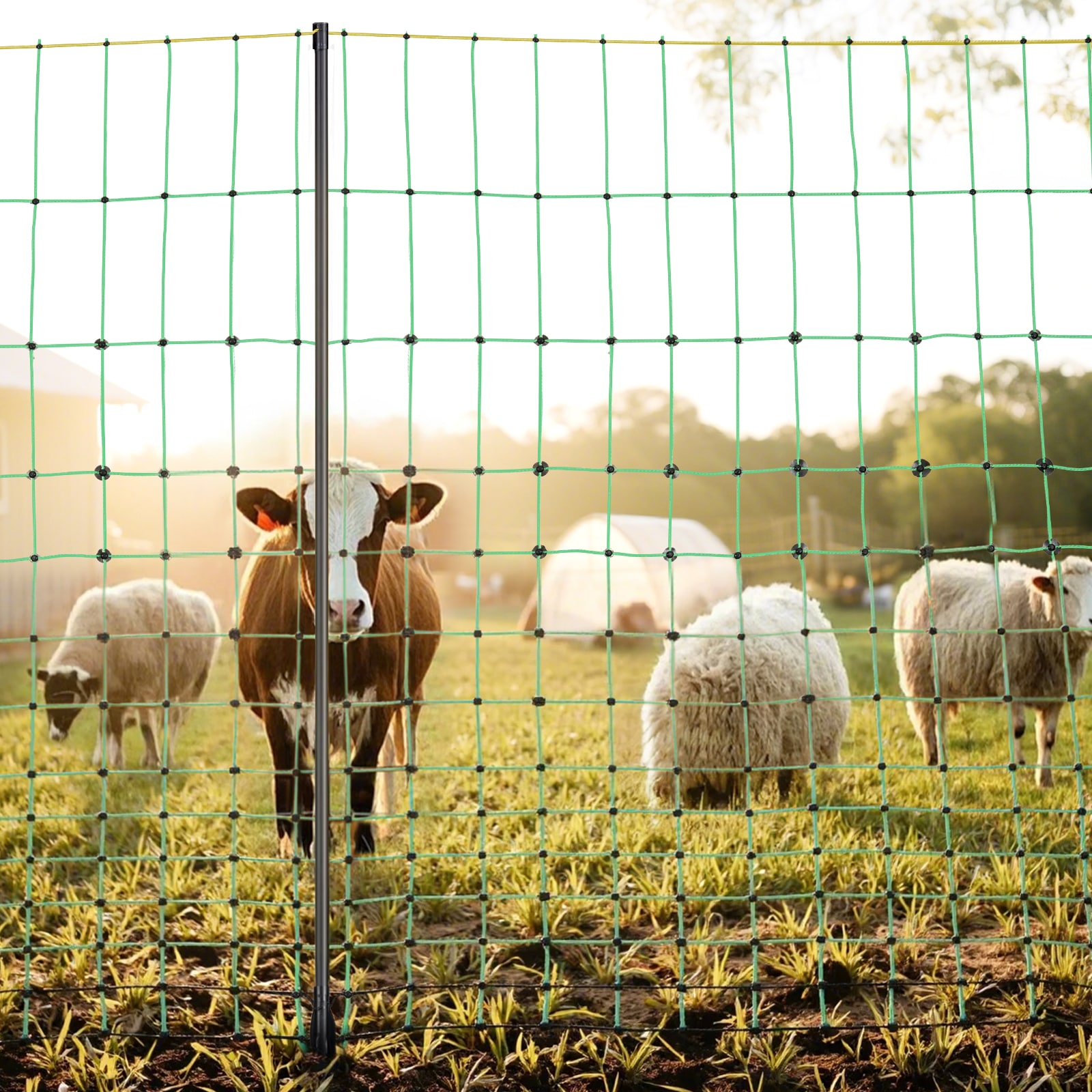 Electric Fence Netting, 50" H X 164' L, Livestock Net Fencing With Posts & Stakes, Portable Mesh Nets For Goats, Sheep, Deer, Hogs, Dogs, Electric Fencing For Backyards, Gardens, Farms, Ranches_maomaolike.com